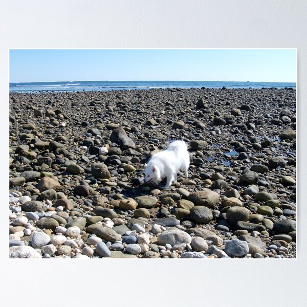 Item preview, Sylvie at Matunuck on the Shoals designed and sold by Jack McCabe.