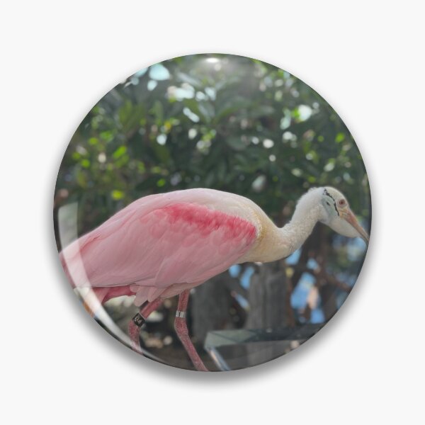 Item preview, Roseate Spoonbill  designed and sold by Ariiramona.