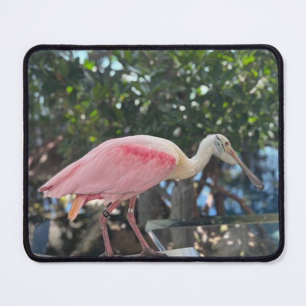 Item preview, Roseate Spoonbill  designed and sold by Ariiramona.