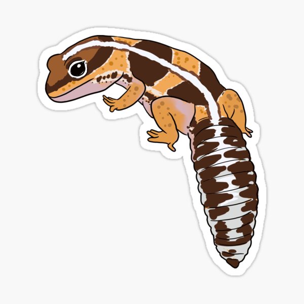 Youth Leopard Gecko Banner Tee – Fatty Pancake