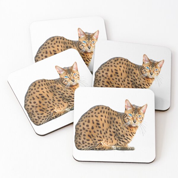 Item preview, Sitting Bengal cat designed and sold by David-Howells.
