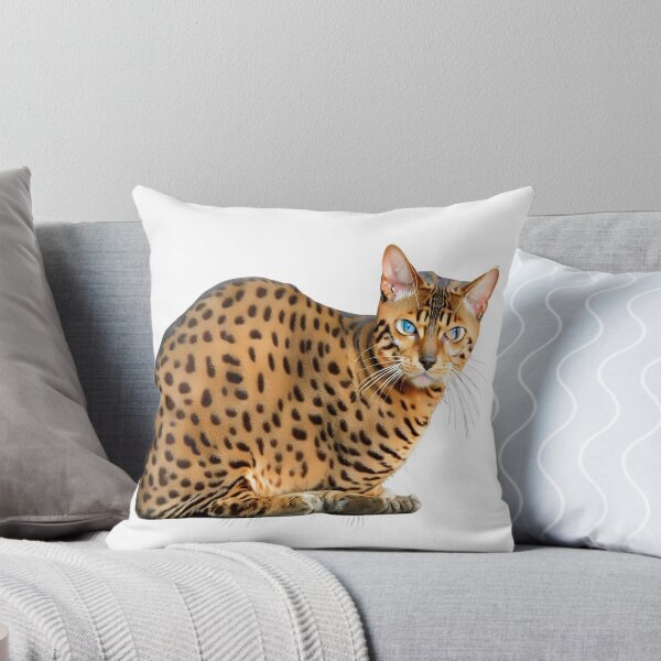 Item preview, Sitting Bengal cat designed and sold by David-Howells.