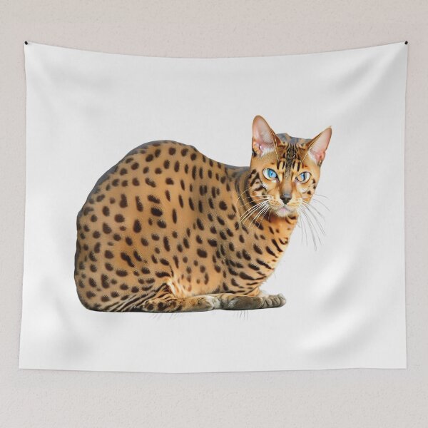 Item preview, Sitting Bengal cat designed and sold by David-Howells.