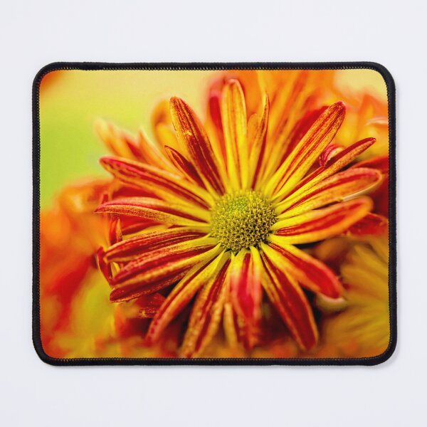 Item preview, Chrysanthemum Face designed and sold by Kay Brewer.