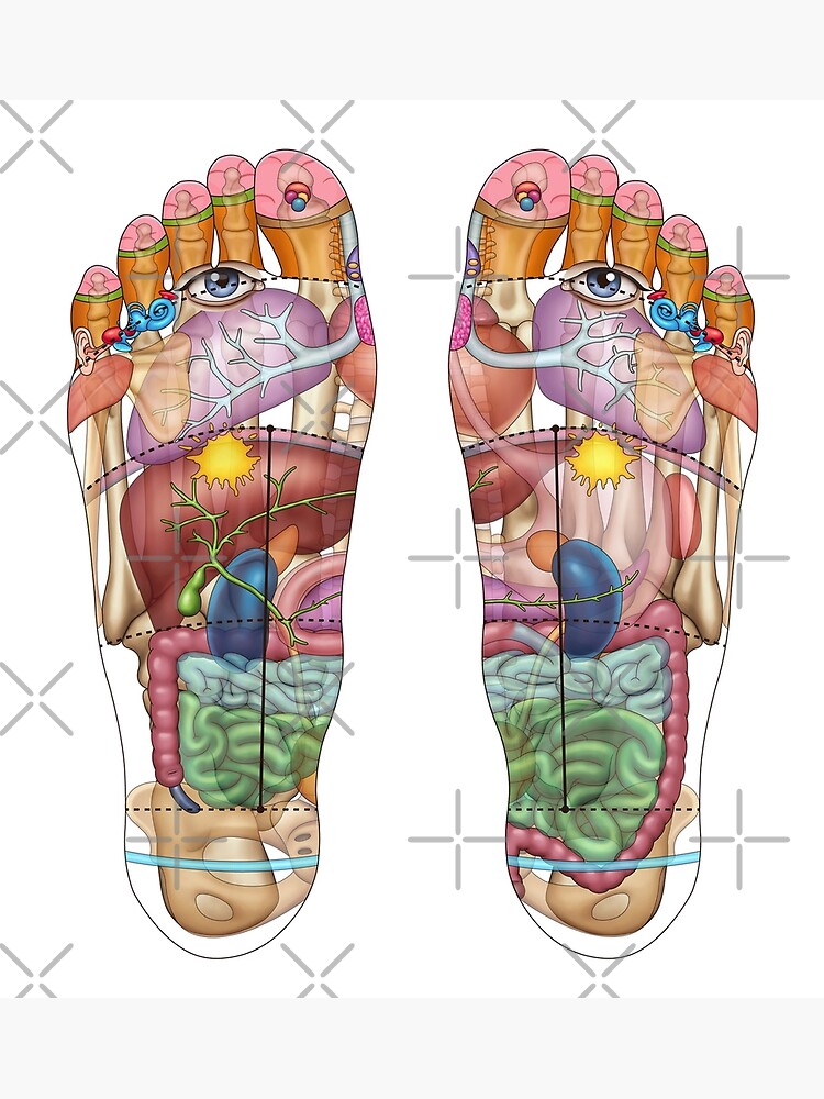 Reflexology Map Design Only Poster For Sale By ChantelCLucier   Flat,750x,075,f Pad,750x1000,f8f8f8 