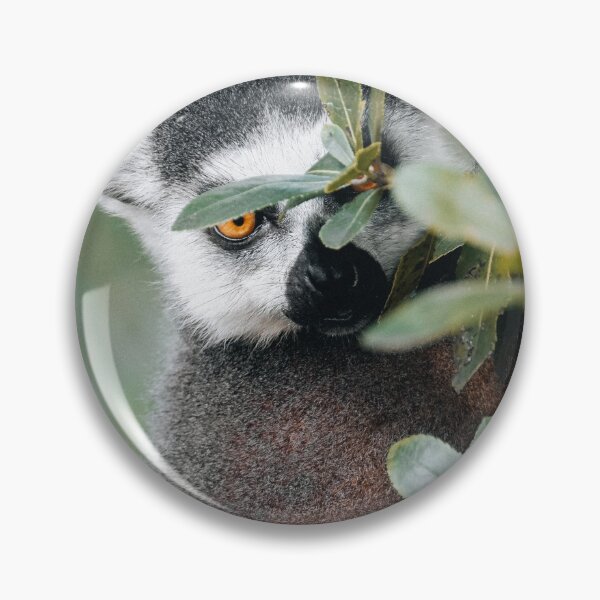 Artikelvorschau, Lemur entworfen und verkauft von photobytableau.