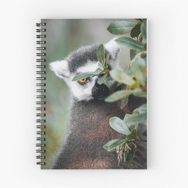 Artikelvorschau, Lemur entworfen und verkauft von photobytableau.