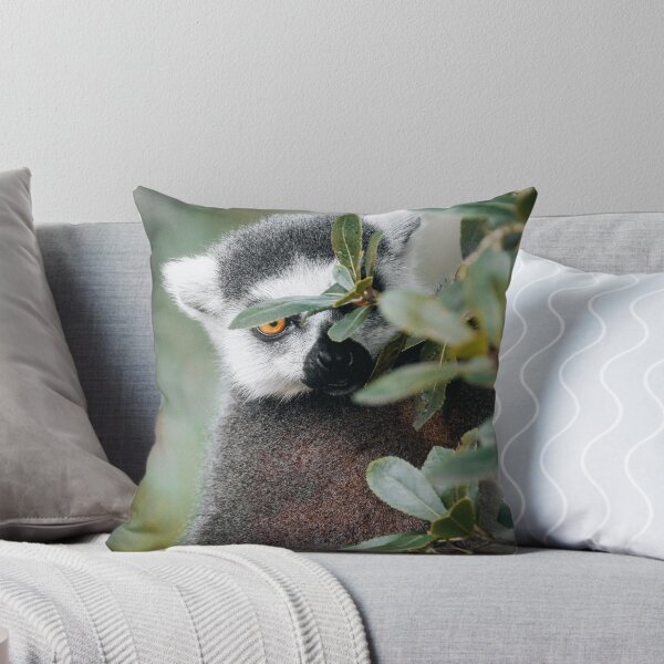 Item preview, Lémur designed and sold by photobytableau.