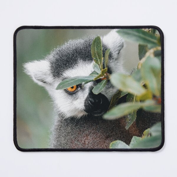 Item preview, Lemur designed and sold by photobytableau.