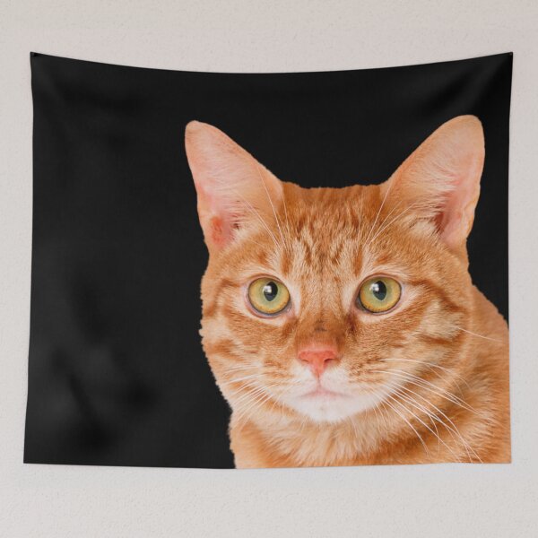 Item preview, Orange Tabby Cat Peeking Face Head designed and sold by mariejosee22.