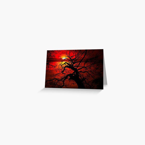 Item preview, Tree at Sunset designed and sold by Daniel Hagerman.