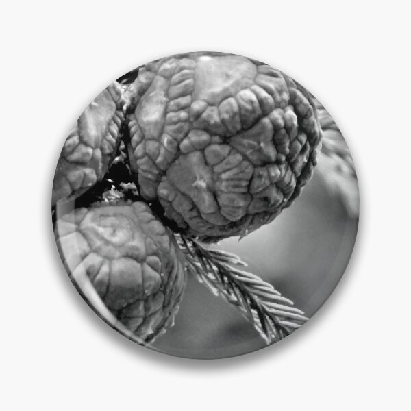 Item preview, Pine Black & White designed and sold by What I See by Dawne.