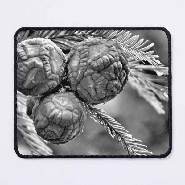 Item preview, Pine Black & White designed and sold by What I See by Dawne.