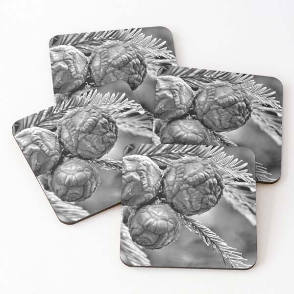 Item preview, Pine Black & White designed and sold by What I See by Dawne.