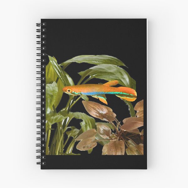 Item preview, xiphidius and Cryptocoryne designed and sold by killies.