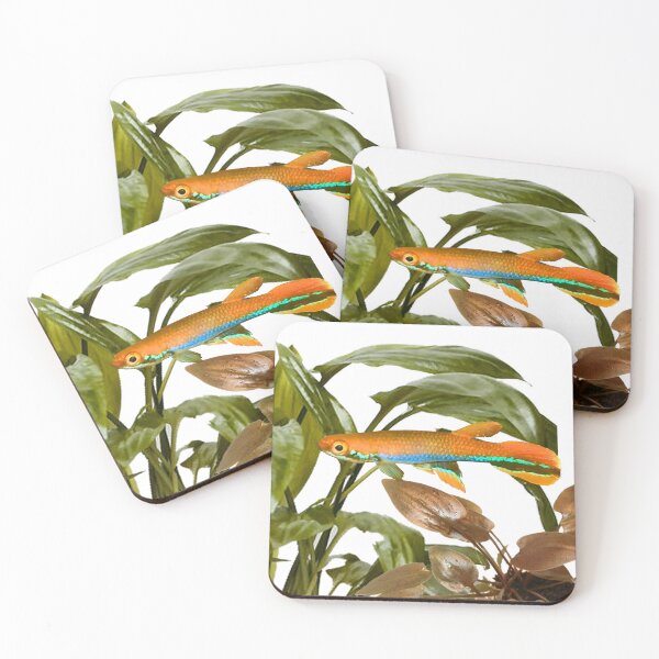 Item preview, xiphidius and Cryptocoryne designed and sold by killies.
