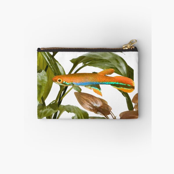 Item preview, xiphidius and Cryptocoryne designed and sold by killies.