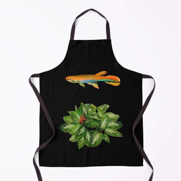 Item preview, xiphidius and rare new Cryptocoryne designed and sold by killies.