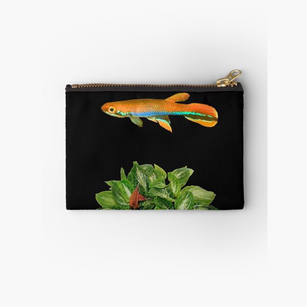 Item preview, xiphidius and rare new Cryptocoryne designed and sold by killies.