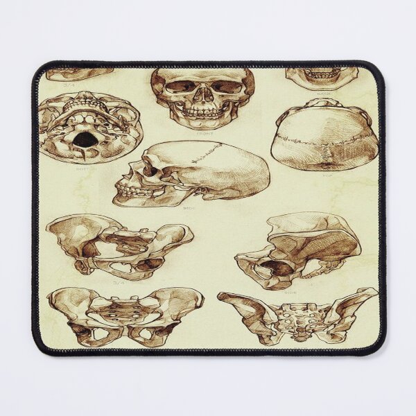 Item preview, Skeleton parts designed and sold by Teixeira224.
