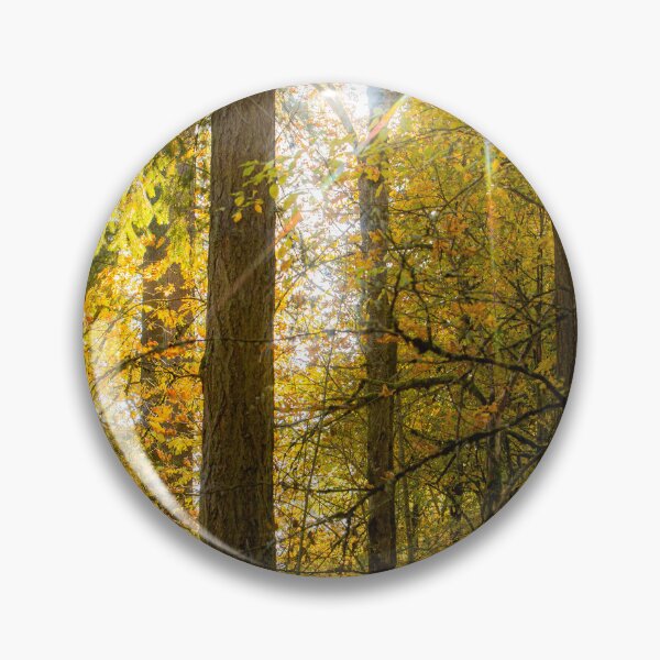 Artikelvorschau, Herbstwald entworfen und verkauft von SpottedHorseStu.