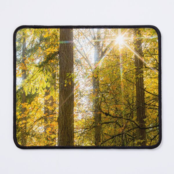 Artikelvorschau, Herbstwald entworfen und verkauft von SpottedHorseStu.