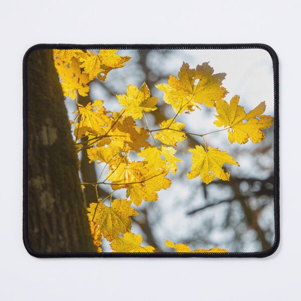 Item preview, Autumn Leaves designed and sold by SpottedHorseStu.