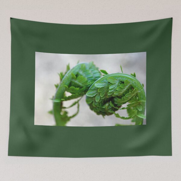Item preview, Furled Fronds designed and sold by Debbie Oppermann.