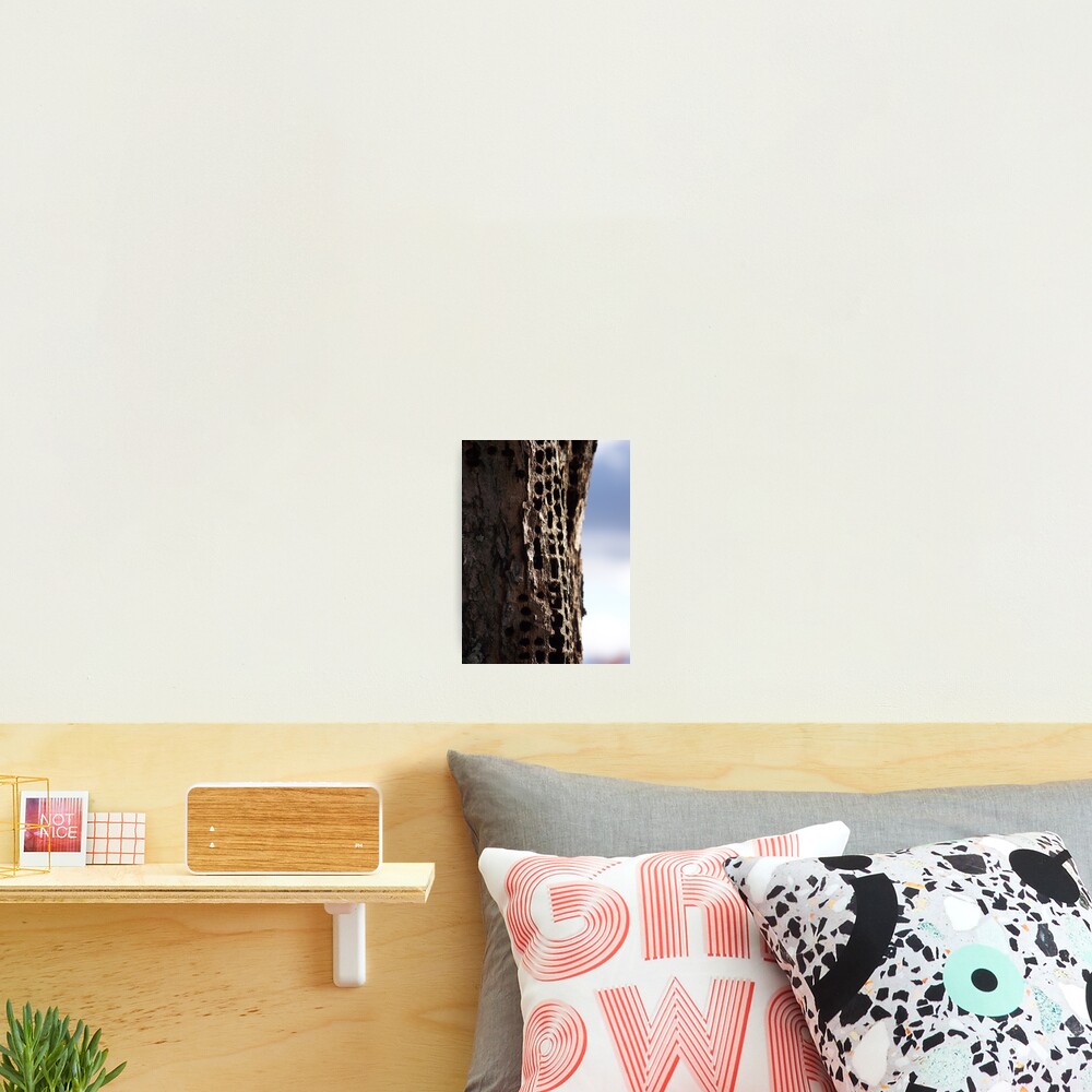 Item preview, Photographic Print designed and sold by RenaissanceRose.