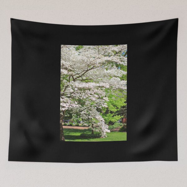 Item preview, Dogwood Tree - Colors in Nature Background - Purest of them All designed and sold by LivingWild.