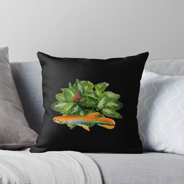 Item preview, xiphidius  and rare new Cryptocoryne  designed and sold by killies.