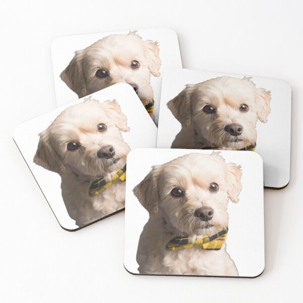 Item preview, WHITE TERRIER PUPPY designed and sold by giantstep.
