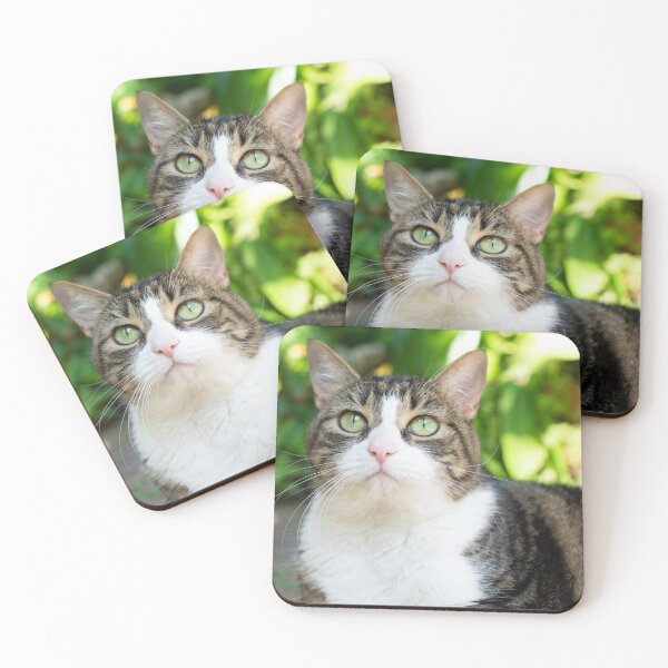 Item preview, pretty cat designed and sold by sarelitay.