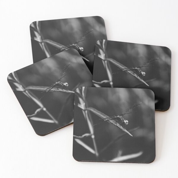 Item preview, black and white dragonfly designed and sold by sarelitay.