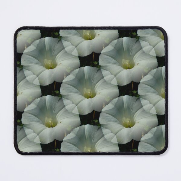 Item preview, White bindweed designed and sold by AdioraStore.