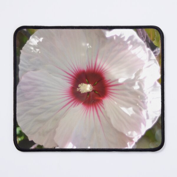 Item preview, Hibiscus designed and sold by KJMozdzen.