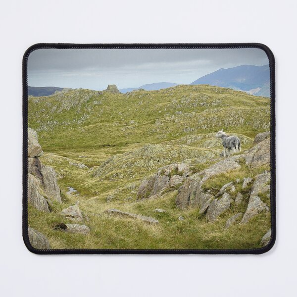 Item preview, Herdwick sheep looking towards Bessyboot, Borrowdale designed and sold by lewisjevons.