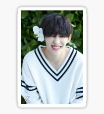 Seventeen S. Coups/Seungcheol Teen, Age Sticker