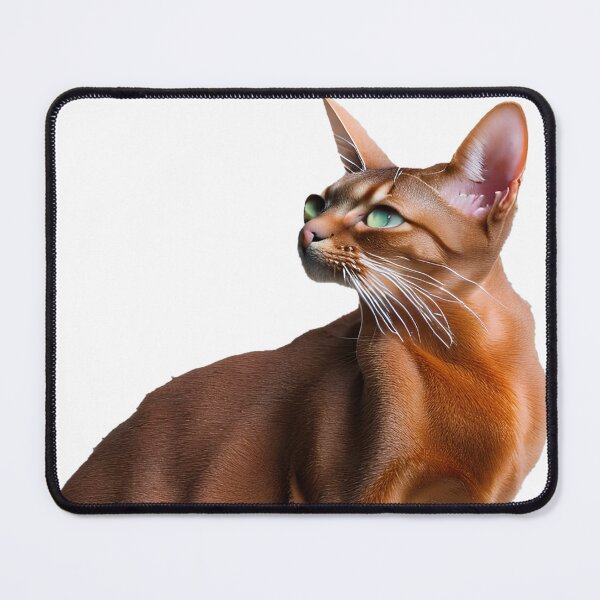 Item preview, Sitting Abyssinian cat designed and sold by David-Howells.
