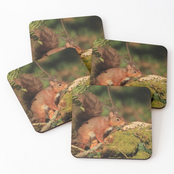 Item preview, European Red Squirrel designed and sold by Jon Lees.