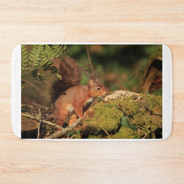 Item preview, European Red Squirrel designed and sold by Jon Lees.