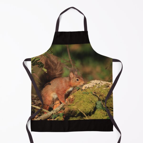 Item preview, European Red Squirrel designed and sold by Jon Lees.