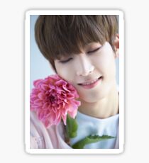 Seventeen Wonwoo Teen, Age Sticker