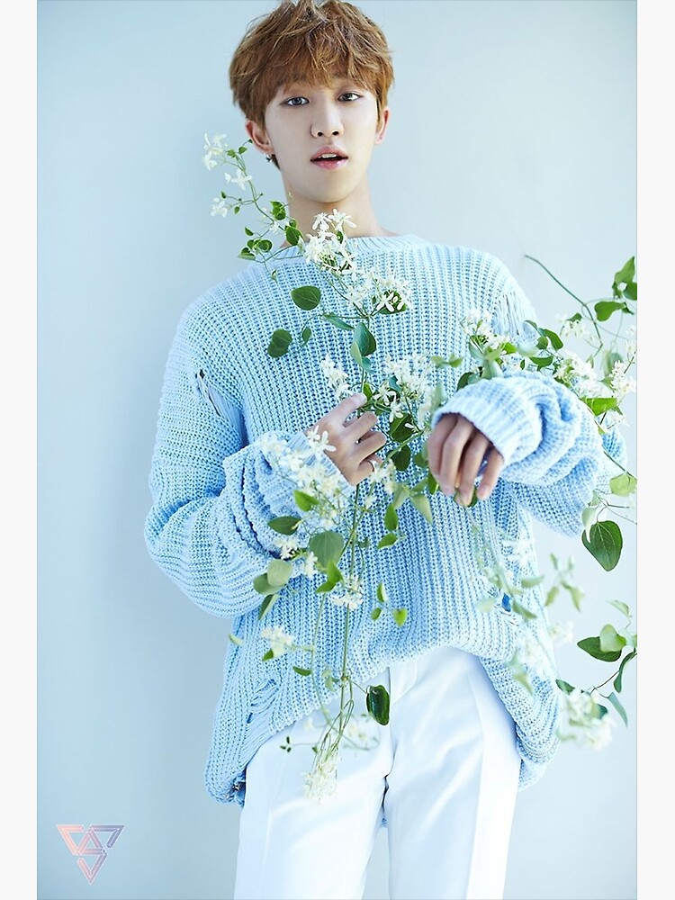Seventeen The8/Minghao Teen, Age Seventeen The8/Minghao Teen, Age
