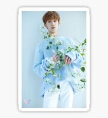 Seventeen The8/Minghao Teen, Age Sticker