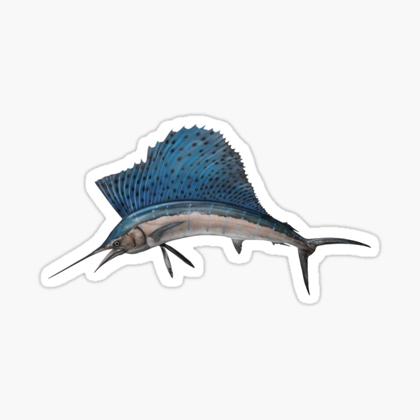Decal Sticker Sailfish Marlin Fishing Store Boat Decoration Ocean Saltwater  Fishing Underwater RS962 -  Canada