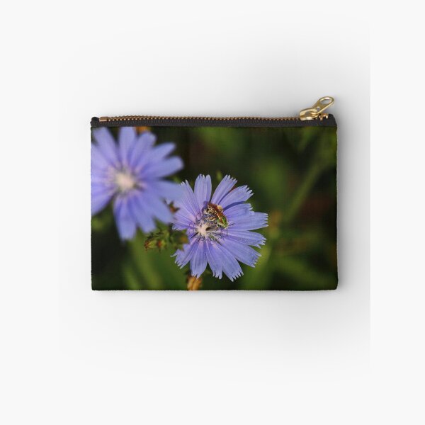Item preview, Chicory Harvest    |    Nature designed and sold by RedHandedOD.