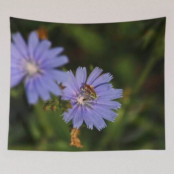 Item preview, Chicory Harvest    |    Nature designed and sold by RedHandedOD.