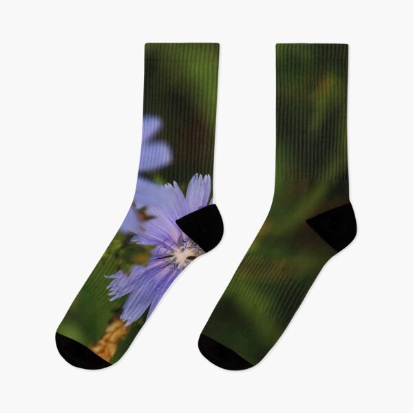 Item preview, Chicory Harvest    |    Nature designed and sold by RedHandedOD.
