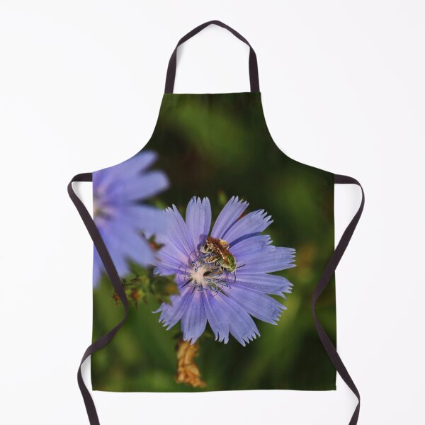 Item preview, Chicory Harvest    |    Nature designed and sold by RedHandedOD.